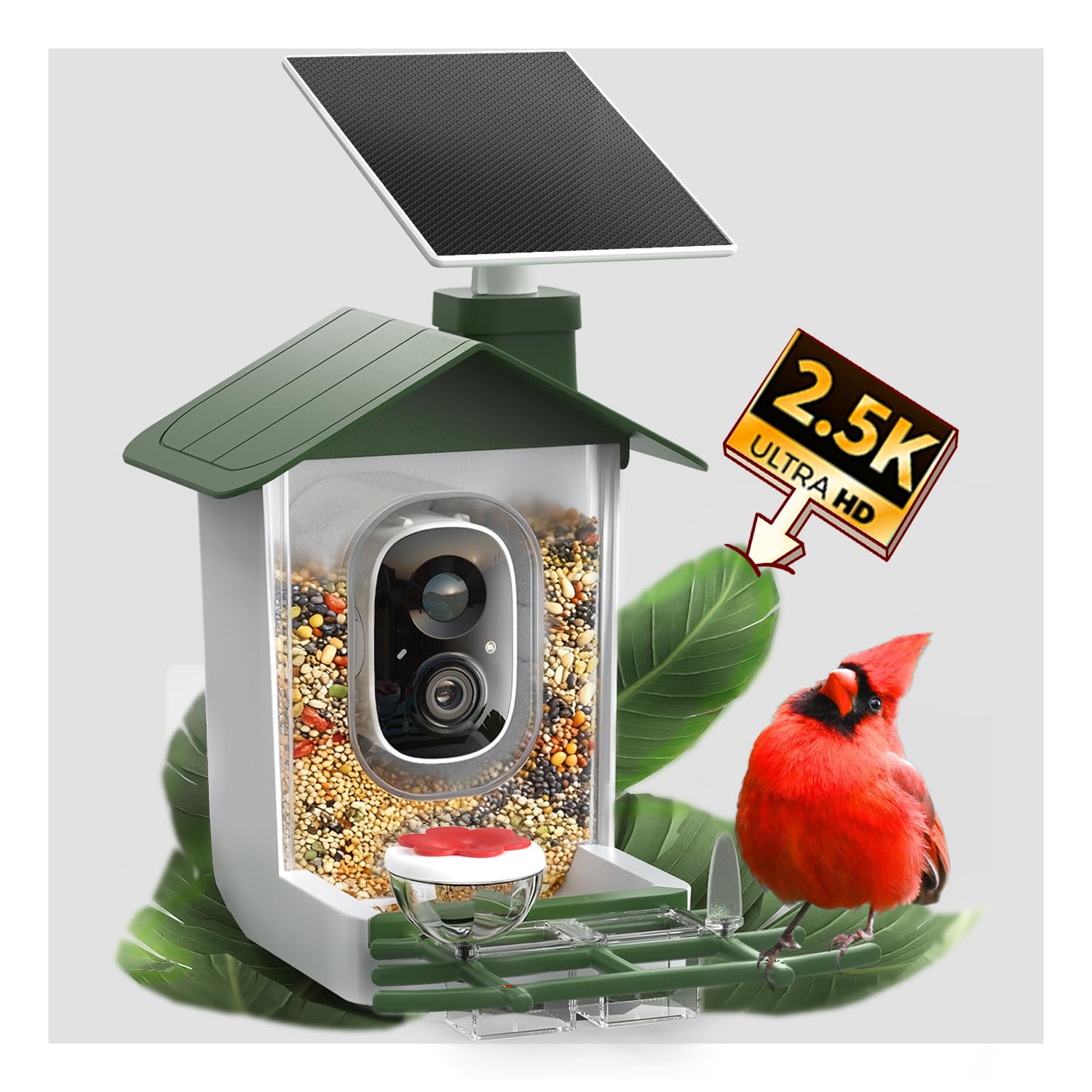 COOAU 5MP smart bird feeder camera offers crisp birds for live viewing.