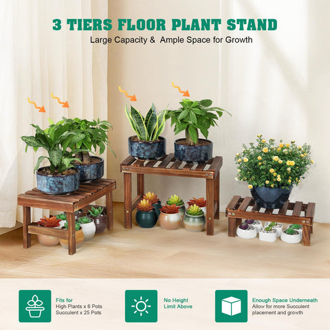 COOGOU 3-tier wooden plant stand front view showing spacious plant arrangement.