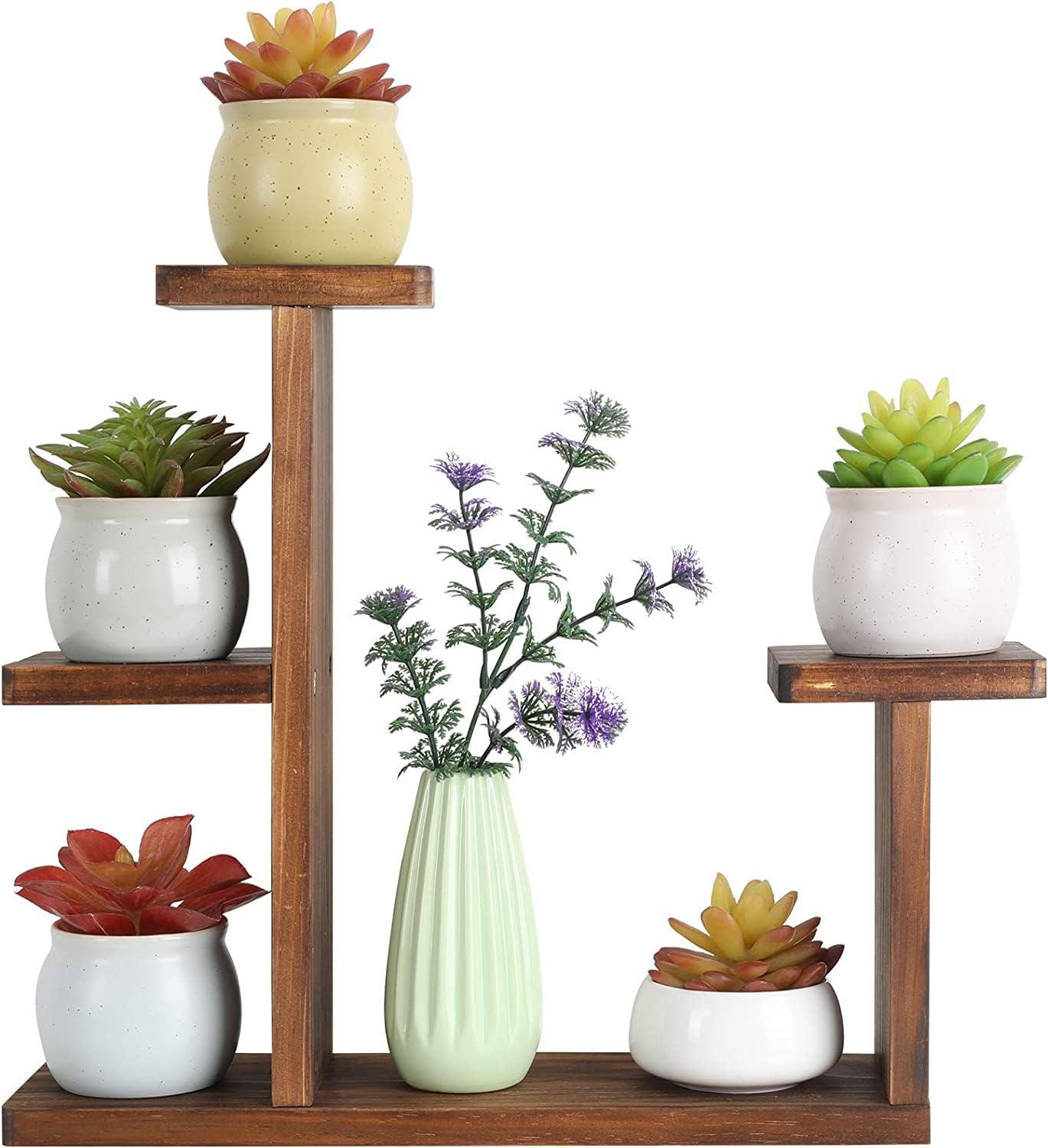 COOGOU wood desktop plant stand displaying succulents on a clean desk