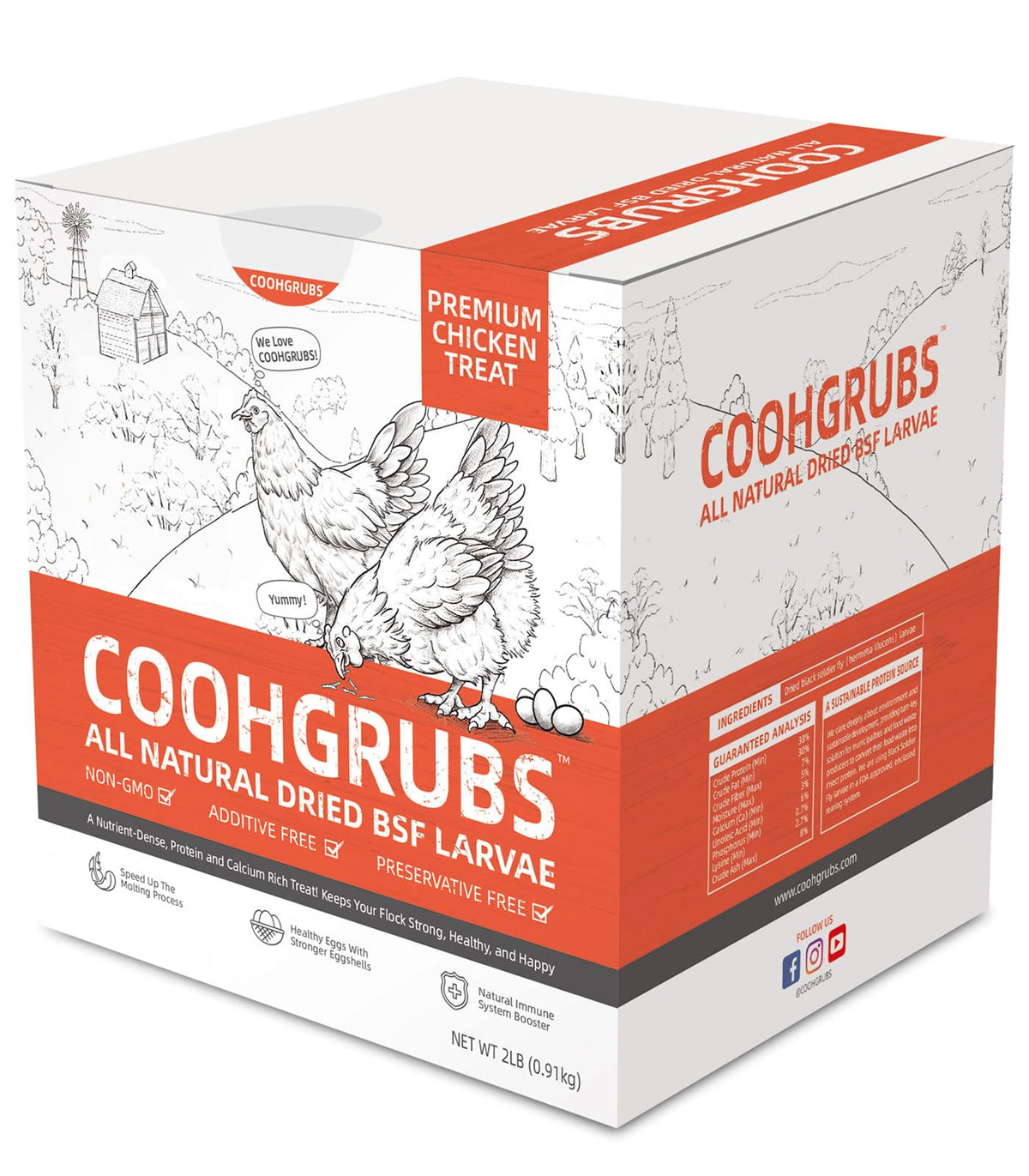 COOHGRUBS BSF larvae in bag provide clean, protein-rich poultry treats.