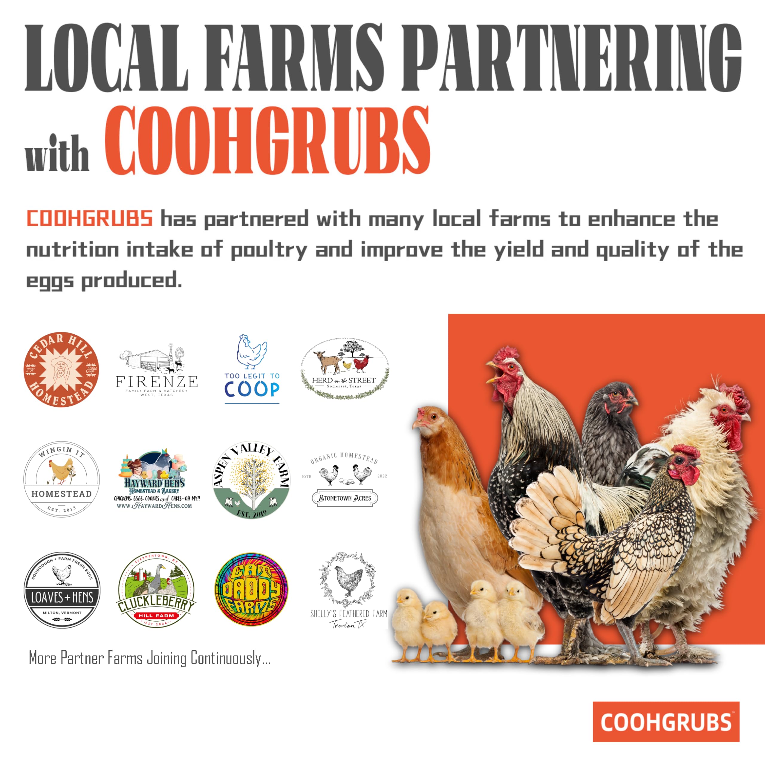 Calcium-rich COOHGRUBS BSF larvae helping eggshell strength in hens