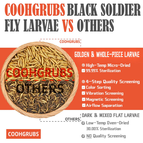 COOHGRUBS cleaning process highlights clean, powder-free larvae