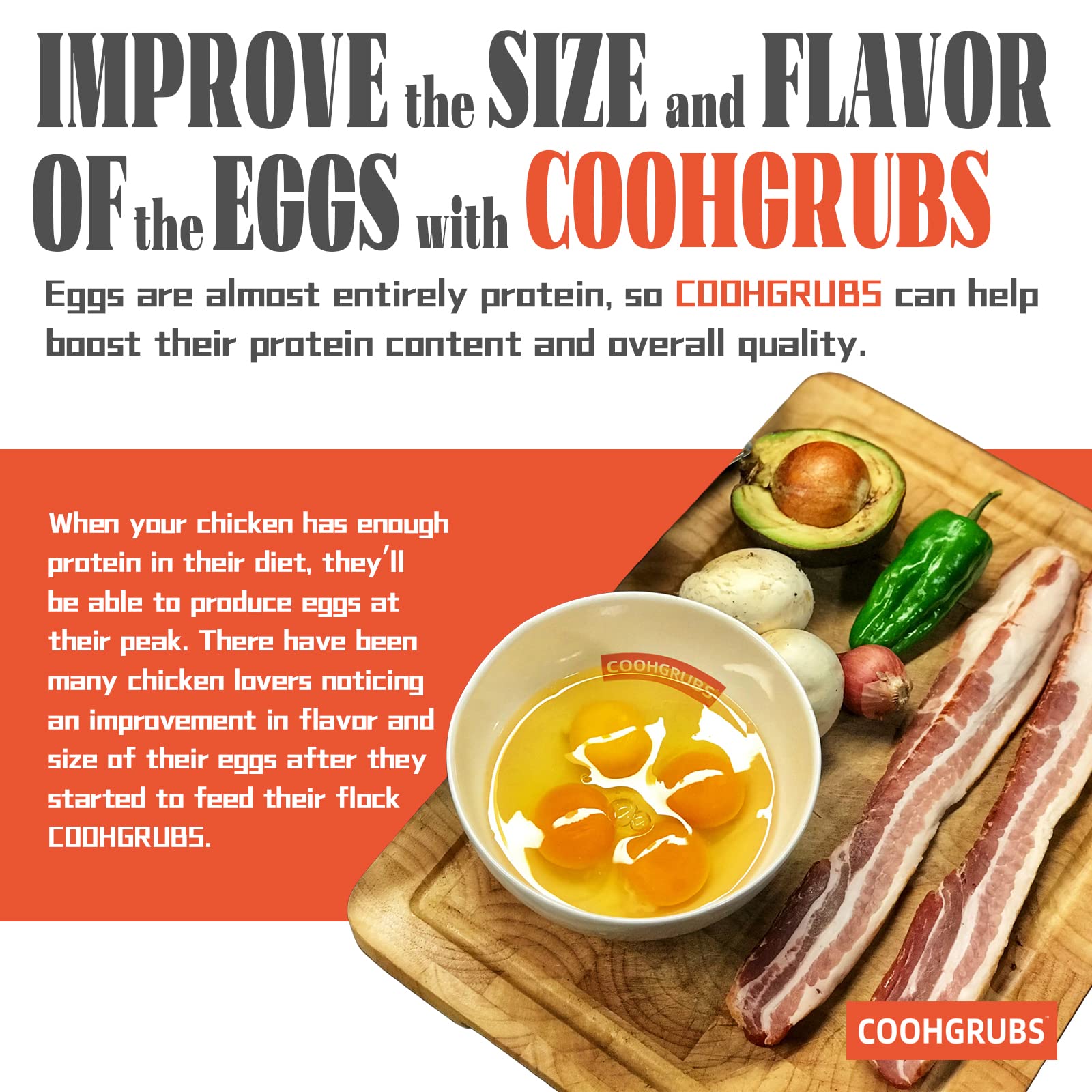 COOHGRUBS larvae supporting gut health and immune resilience in poultry