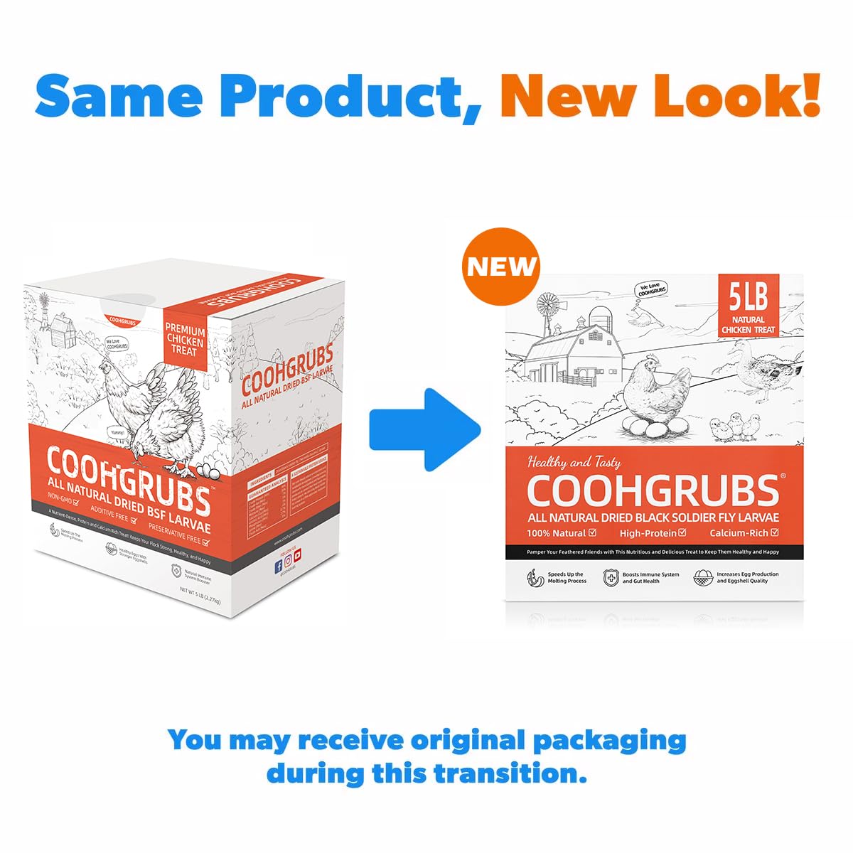 Chickens molting with COOHGRUBS for feather regrowth and energy.