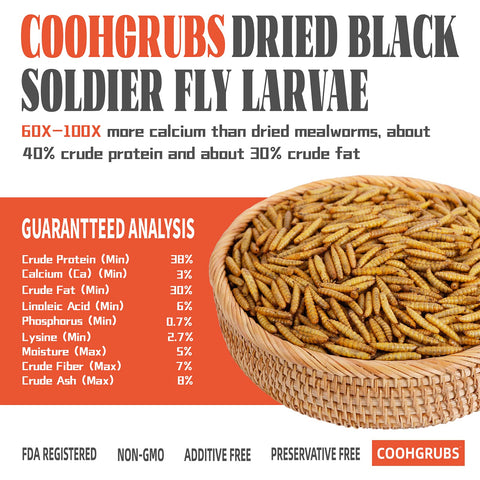 COOHGRUBS storage-ready gift box with resealable inner bag