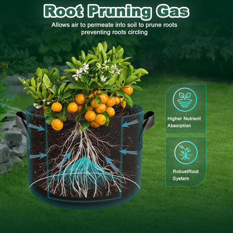 Cookiele 7-gallon grow bag sized for tomatoes, potatoes, and peppers