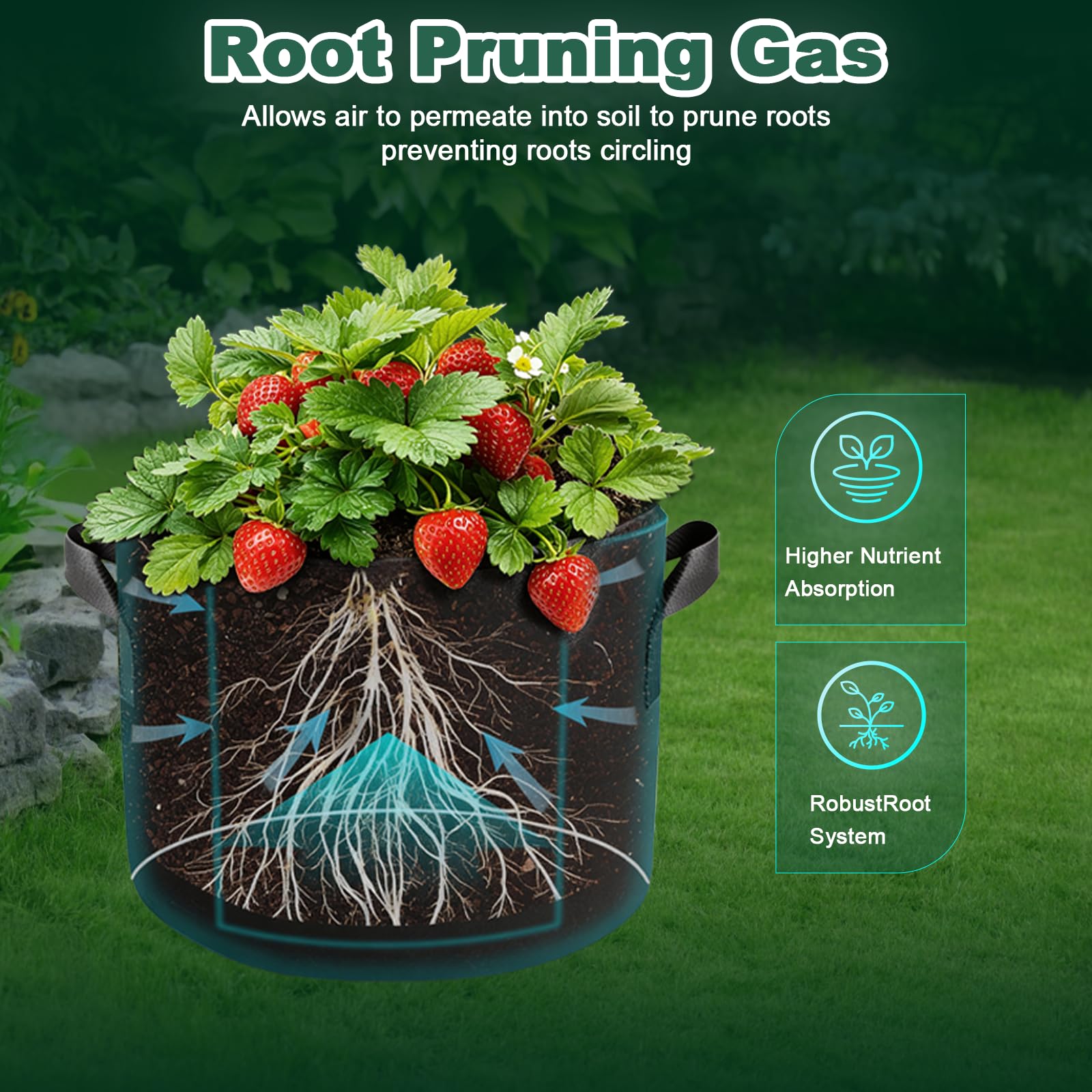 Cookiele suitable for vegetables and fruits in containers or balconies