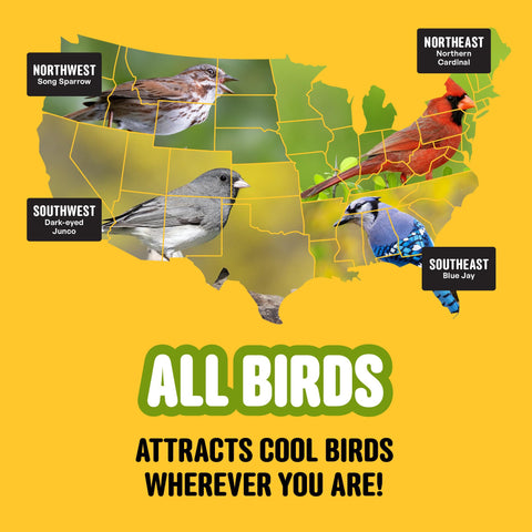 Cool Birds All Birds Blend seed mix promotes ground-feeder visits from doves.