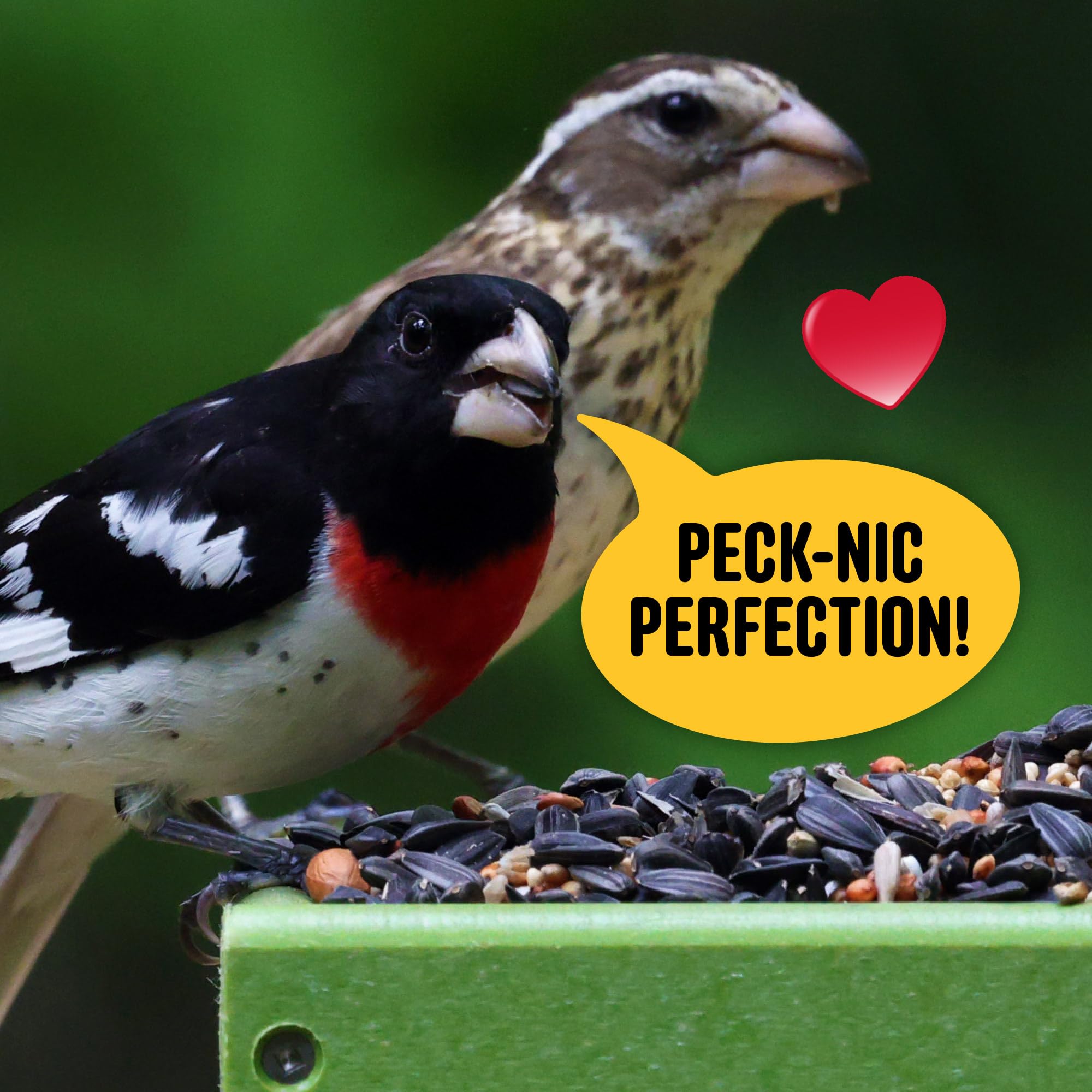 Cool Birds All Birds Blend in hopper feeder suits big and small species.