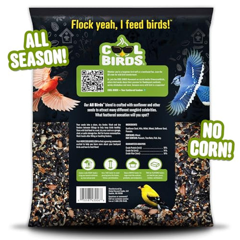 Cool Birds All Birds Blend seed mix in outdoor feeder attracts diverse birds.