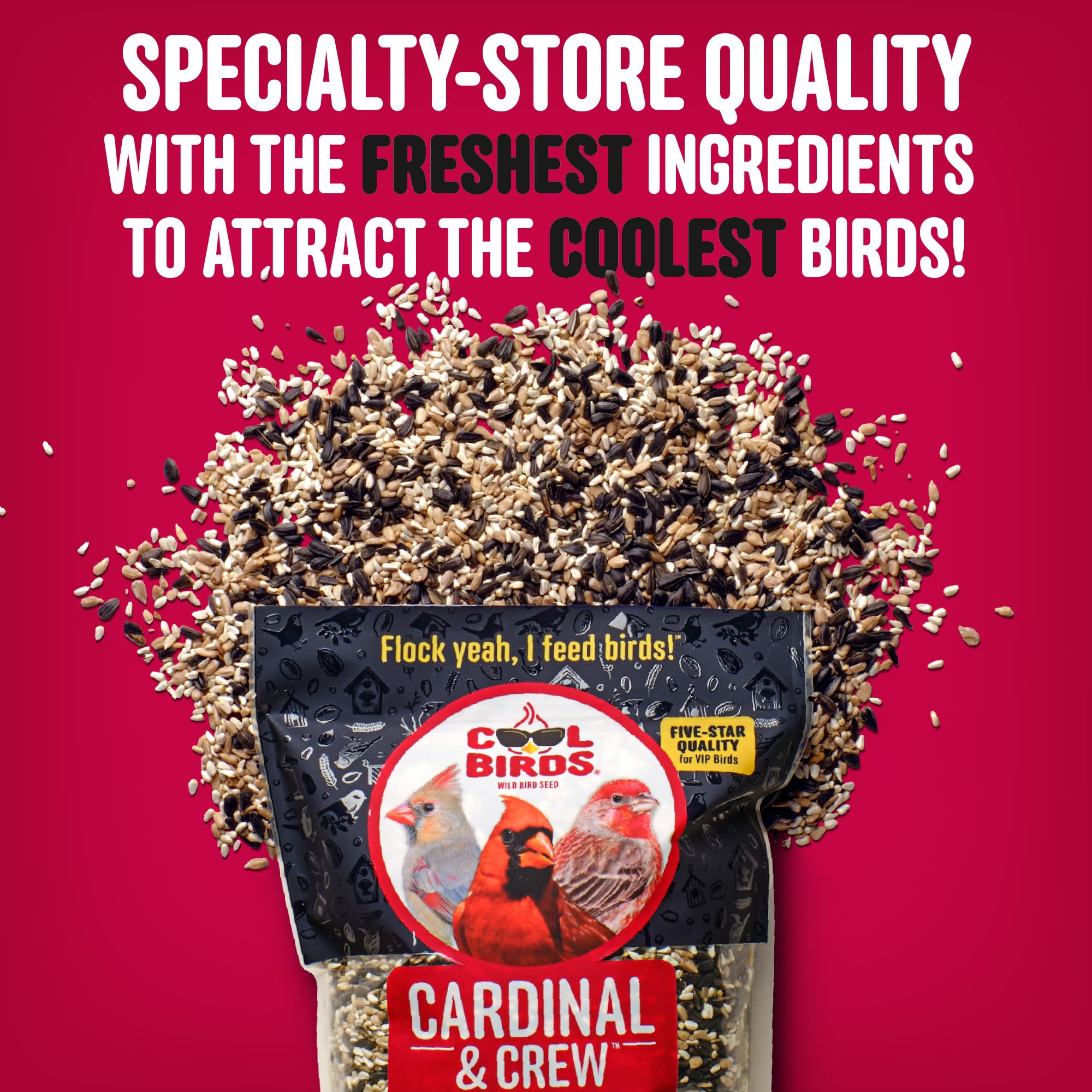 Closeup of Cool Birds Cardinal & Crew black oil sunflower seeds