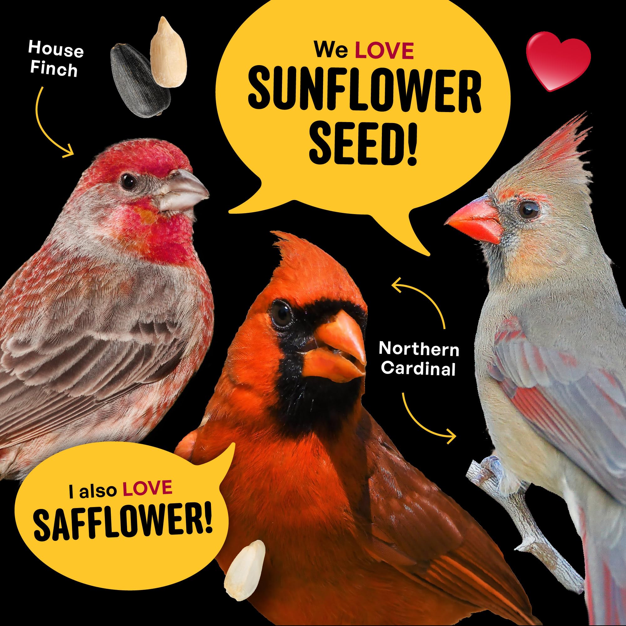 Hopper feeder with Cool Birds Cardinal & Crew mix