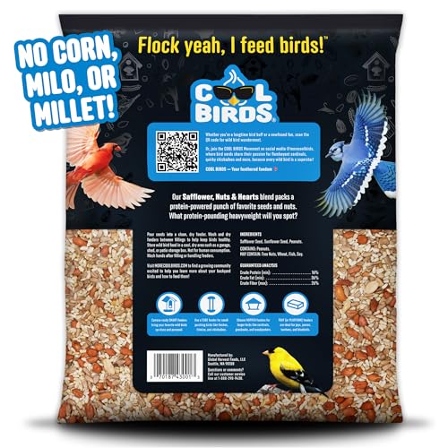 Cool Birds cardinal enjoying seed in a bright feeder boosts color and activity