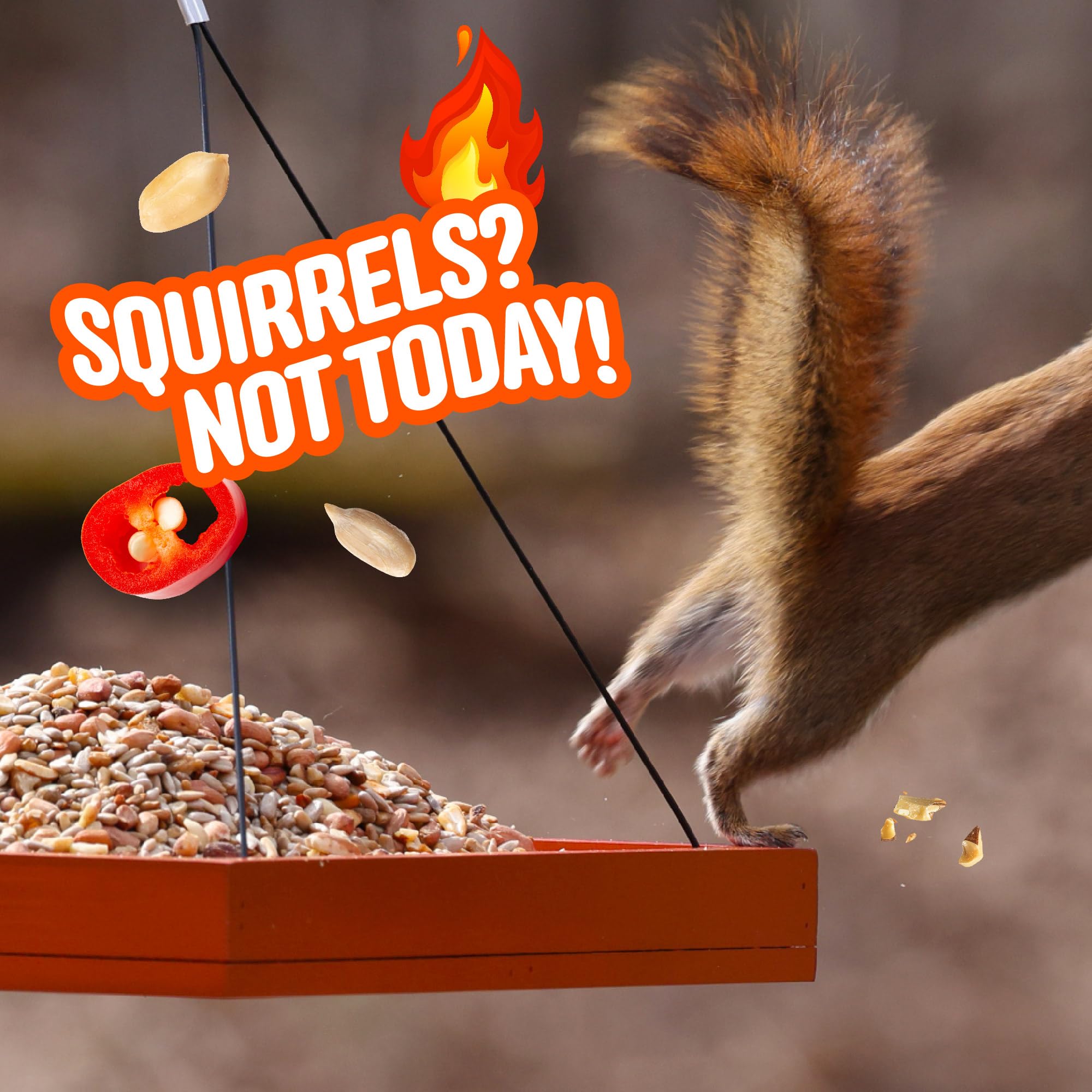 COOL BIRDS deck-patio feeder scene emphasizes tidy outdoor feeding.