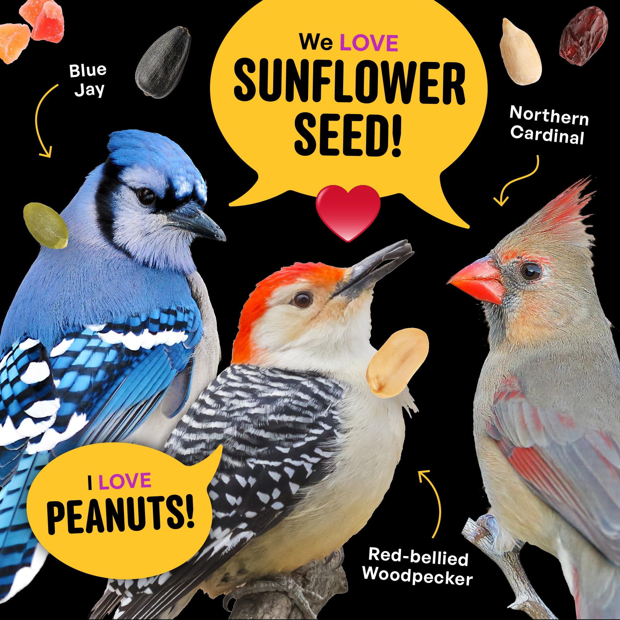 Cool Birds Nut & Fruit bag next to a ready-to-fill feeder setup.