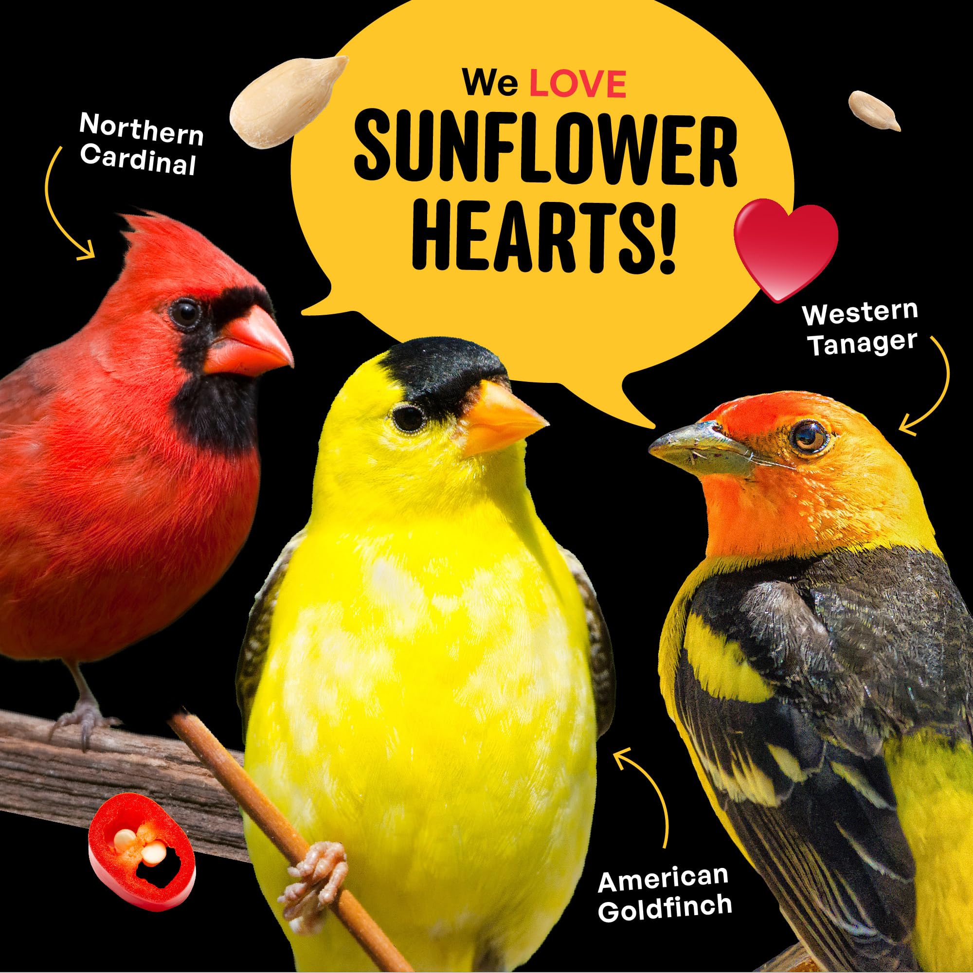Cool Birds Hearts on Fire seed pouring into a feeder for easy filling