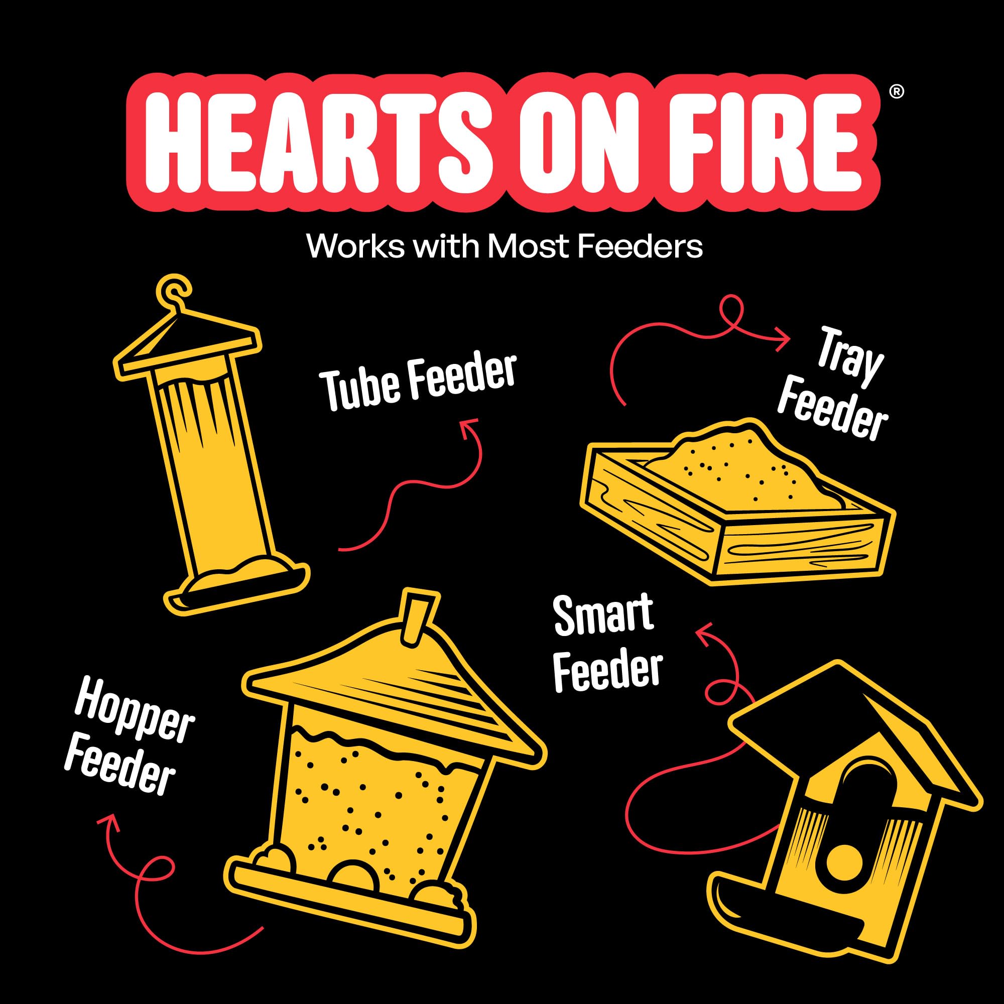 Cool Birds Hearts on Fire cardinals visiting a sunny feeder