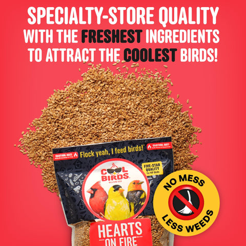 Cool Birds Hearts on Fire hulled sunflower hearts shell-free nutrition