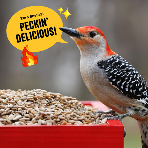 Cool Birds Hearts on Fire shell-free seed reduces yard mess