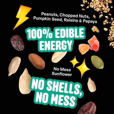  Cool Birds No Mess Fruit Seed in feeder demonstrates tidy, convenient feeding.