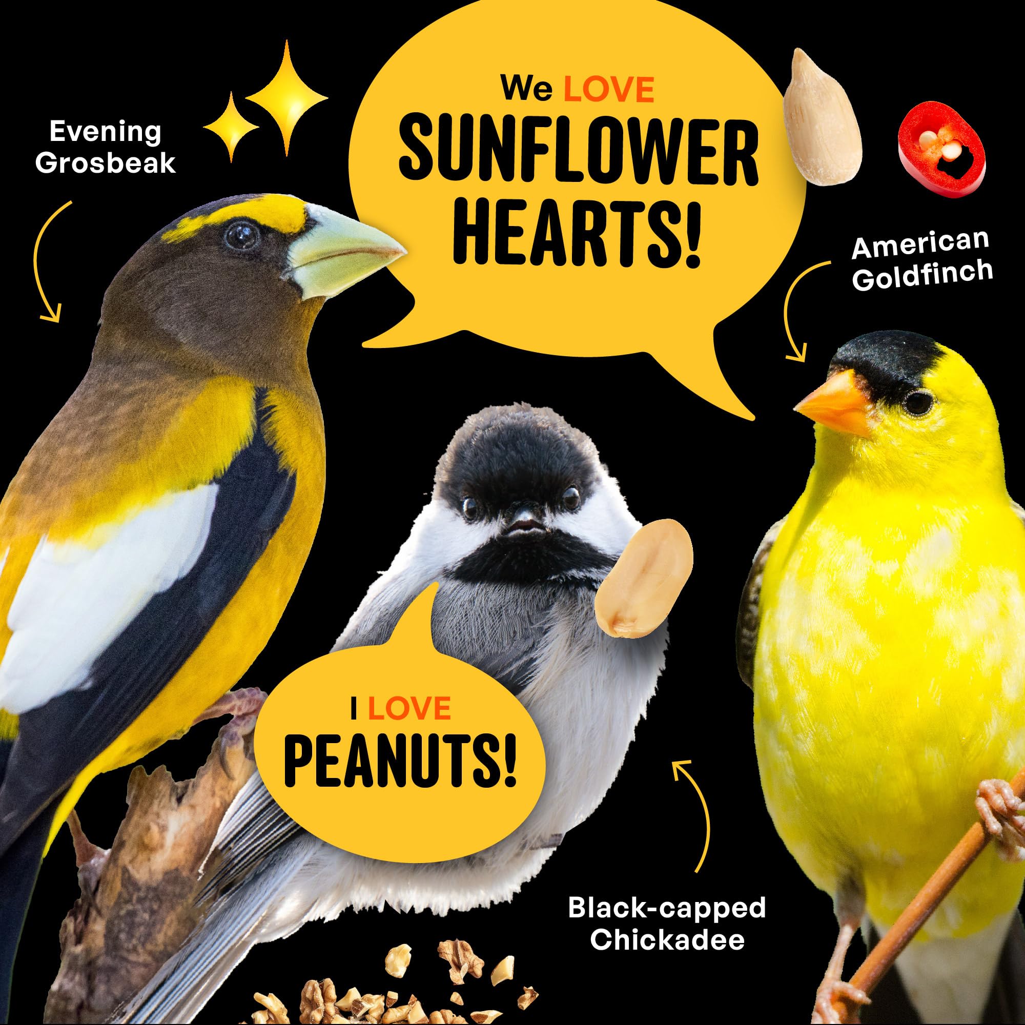COOL BIRDS no-waste seed at feeder reduces litter.