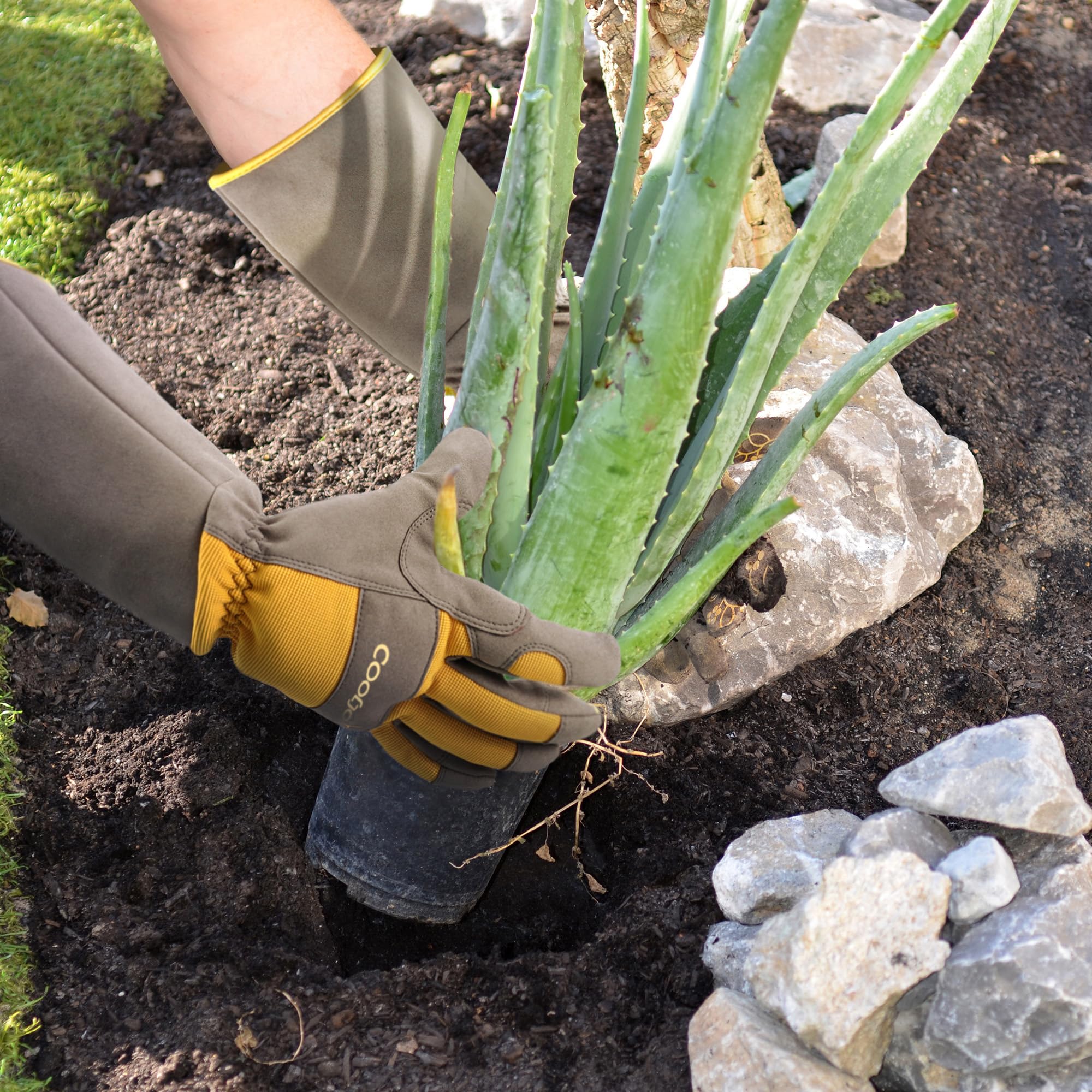 COOLJOB cactus-pruning gloves durable for thorny plant tasks
