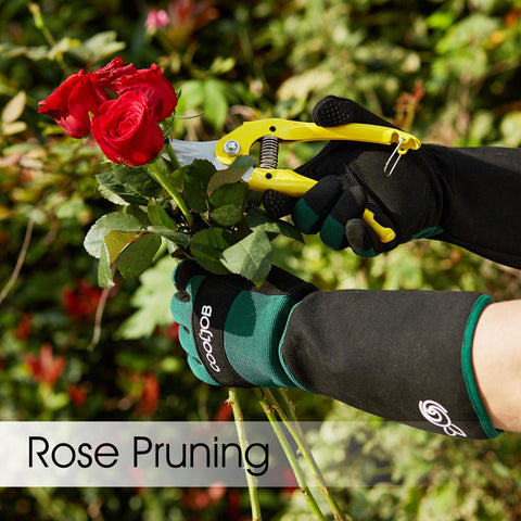 CoolJOB extended cuff gloves keep dirt out during pruning tasks