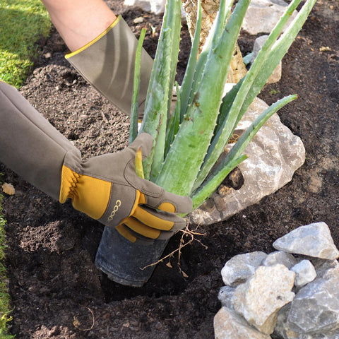COOLJOB machine-washable garden gloves simplify cleaning after gardening.