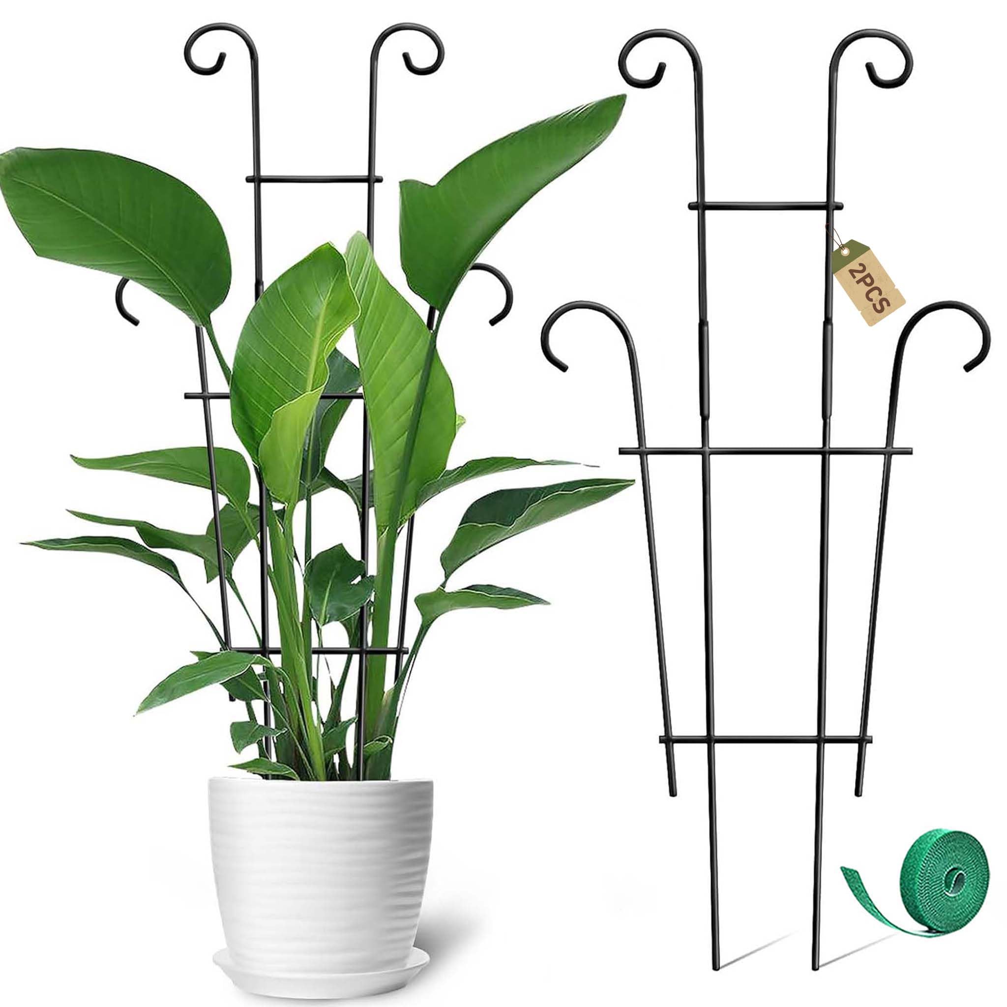 Coomin 23in plant trellis in pot provides upright support for climbing vines.