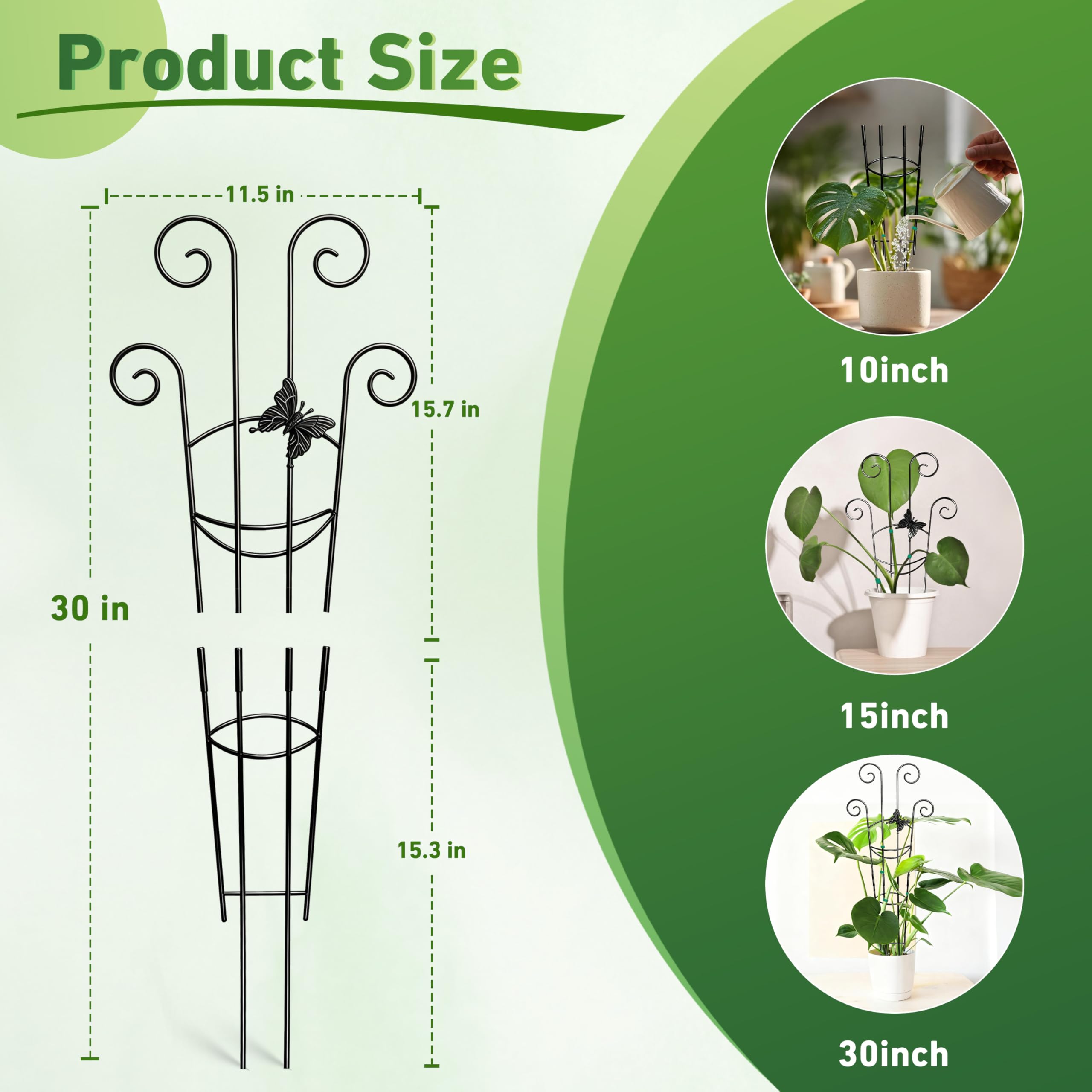 Coomin 2P trellis expands to 33 inches for tall plants.