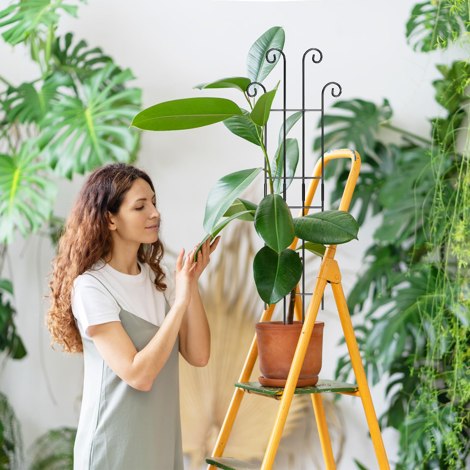 Coomin 32-inch trellis setup demonstrates tool-free clip assembly