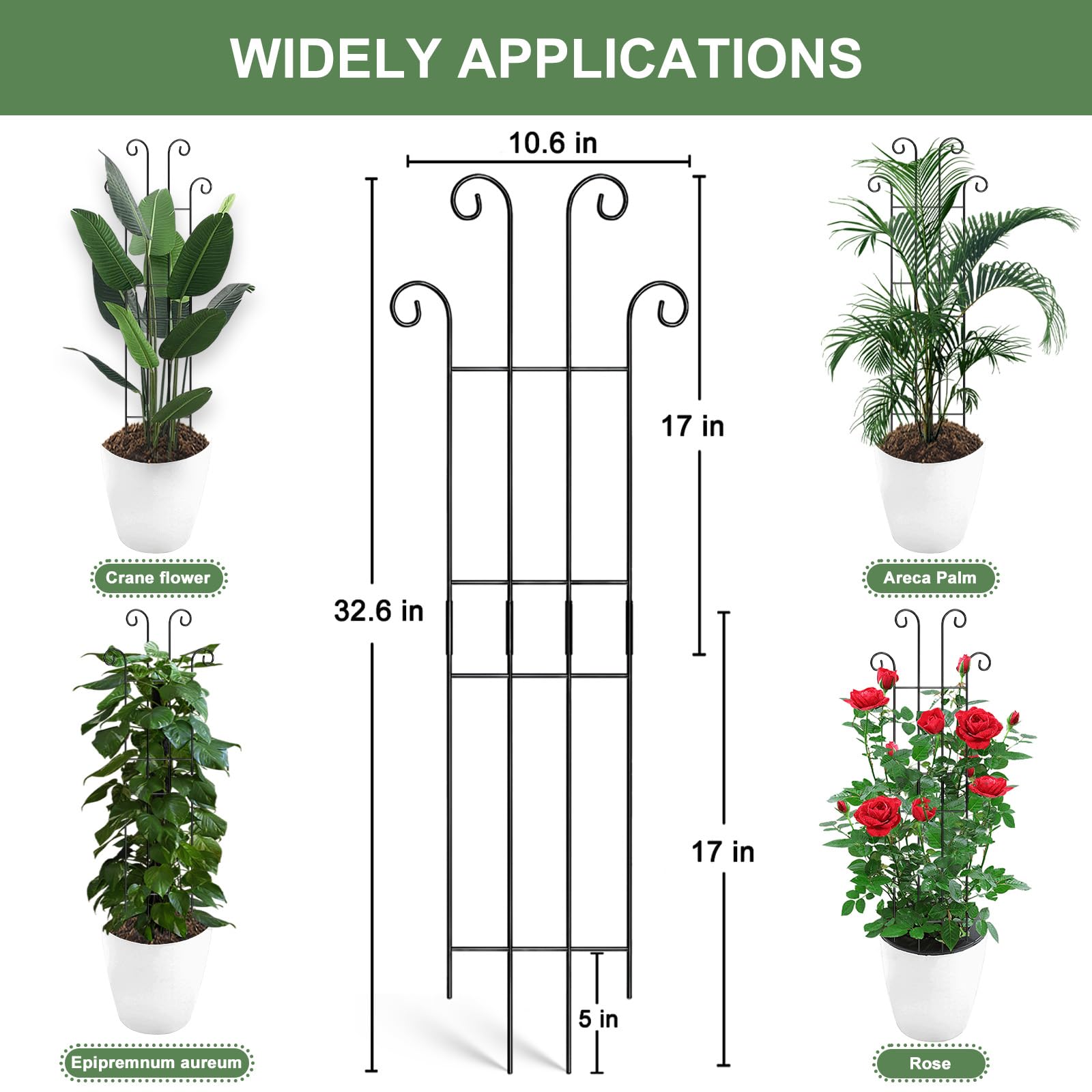 Coomin coated steel stake resists rust for long-lasting indoor greenery