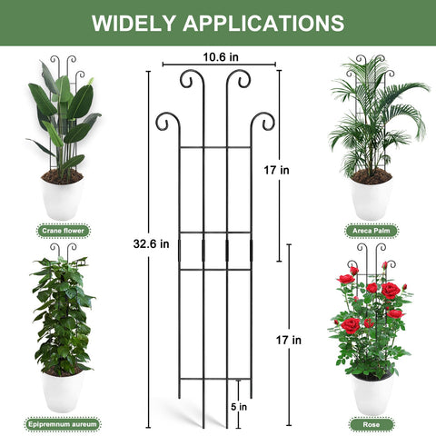 Coomin coated steel stake resists rust for long-lasting indoor greenery