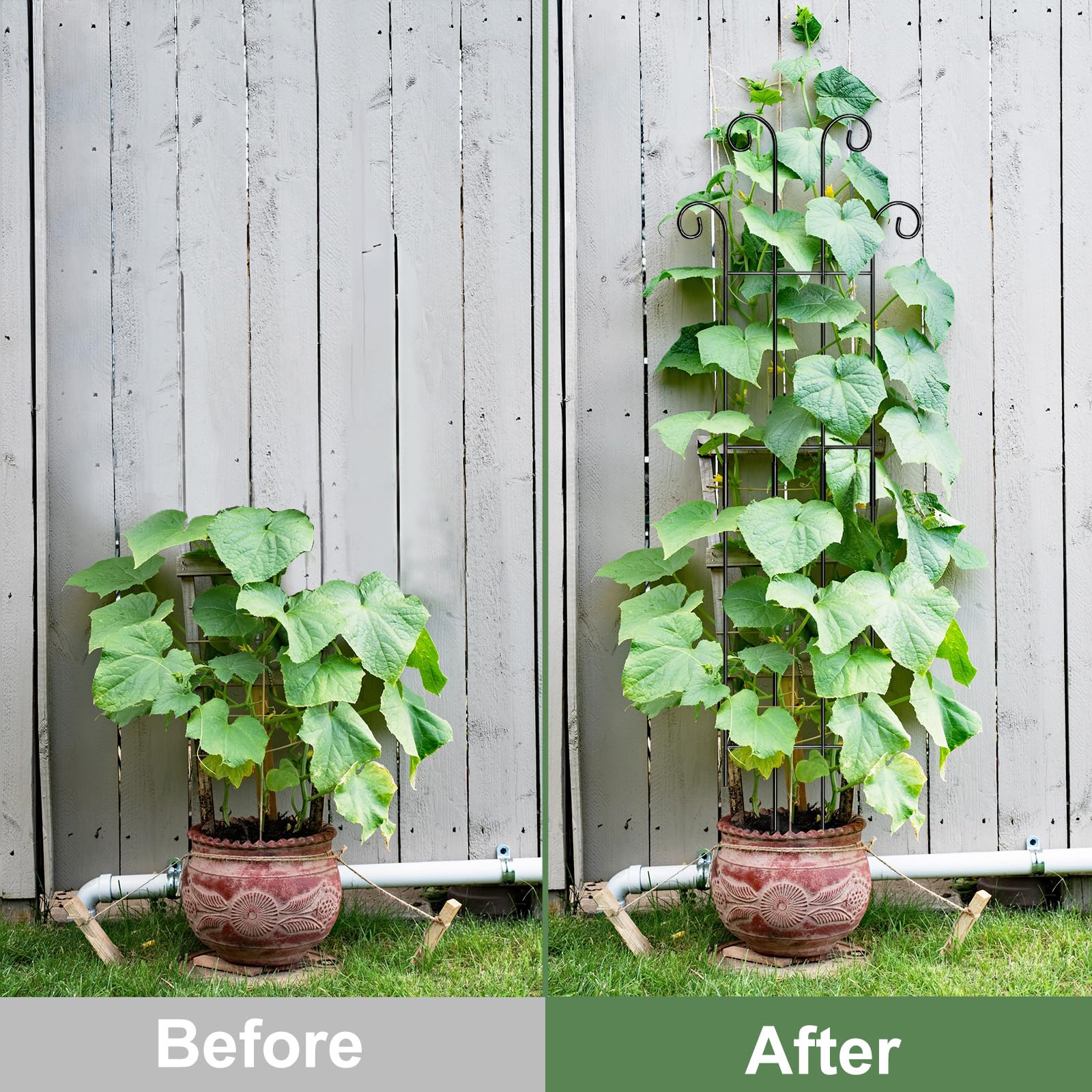 Coomin extendable design allows height adjustment as plants grow