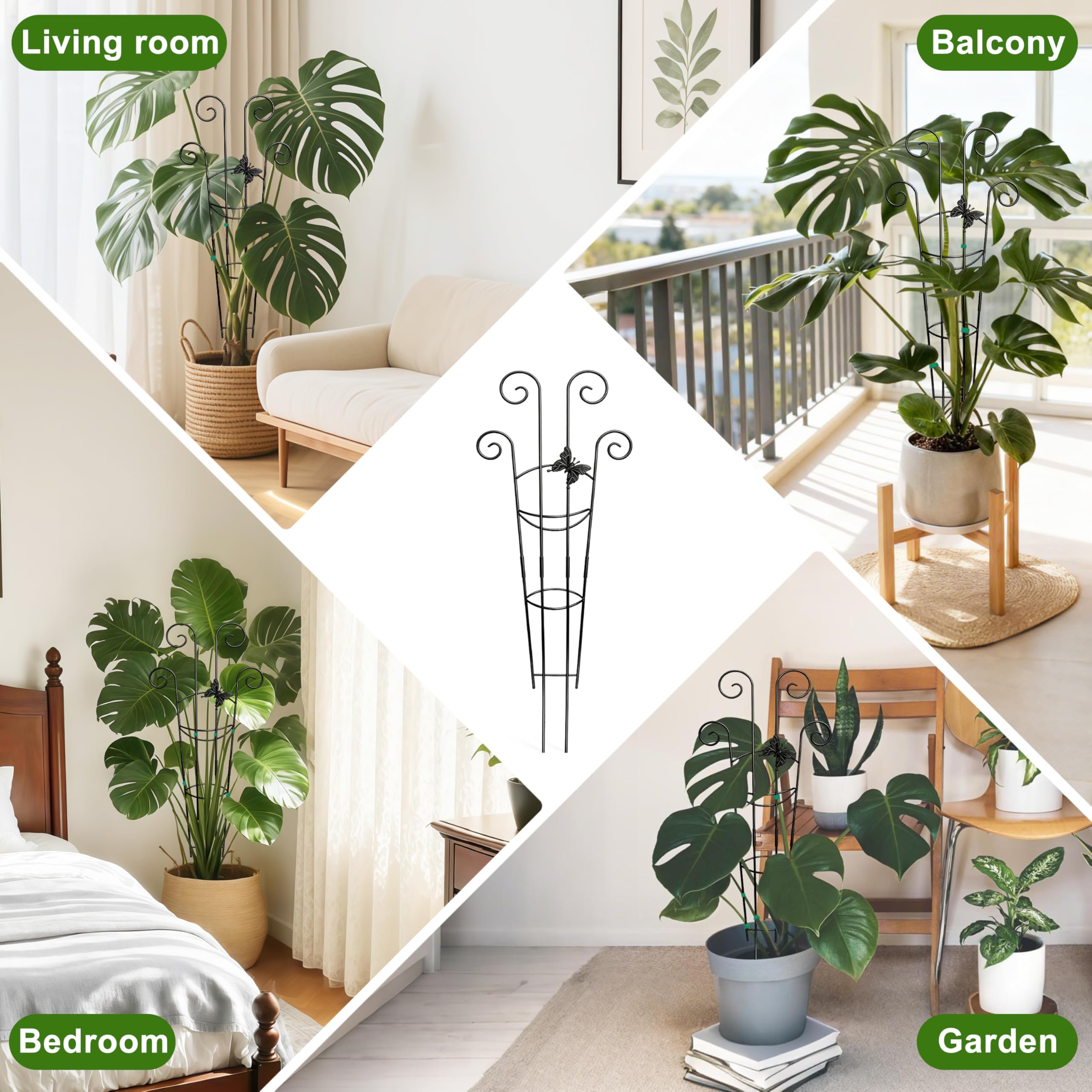Coomin fits most indoor pots for versatile placement.