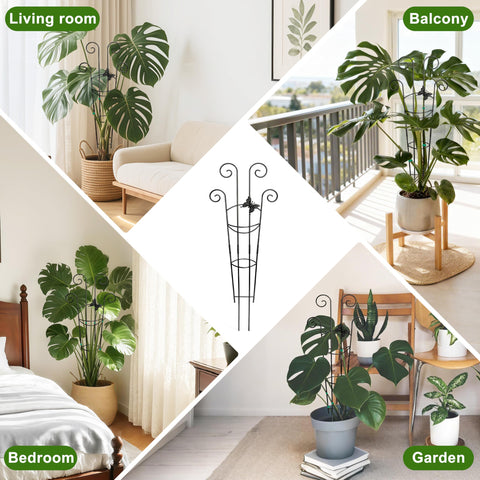 Coomin fits most indoor pots for versatile placement.