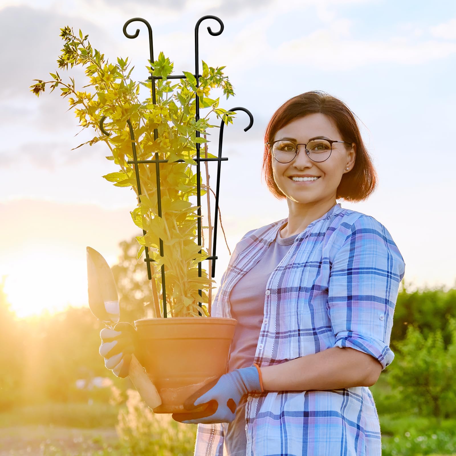 Coomin gift-ready for plant lovers seeking stylish support.