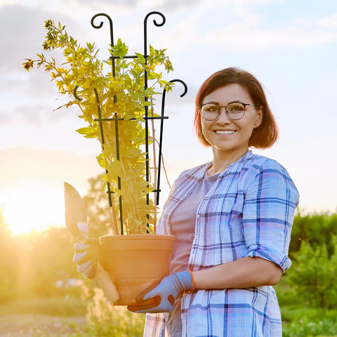 Coomin gift-ready for plant lovers seeking stylish support.