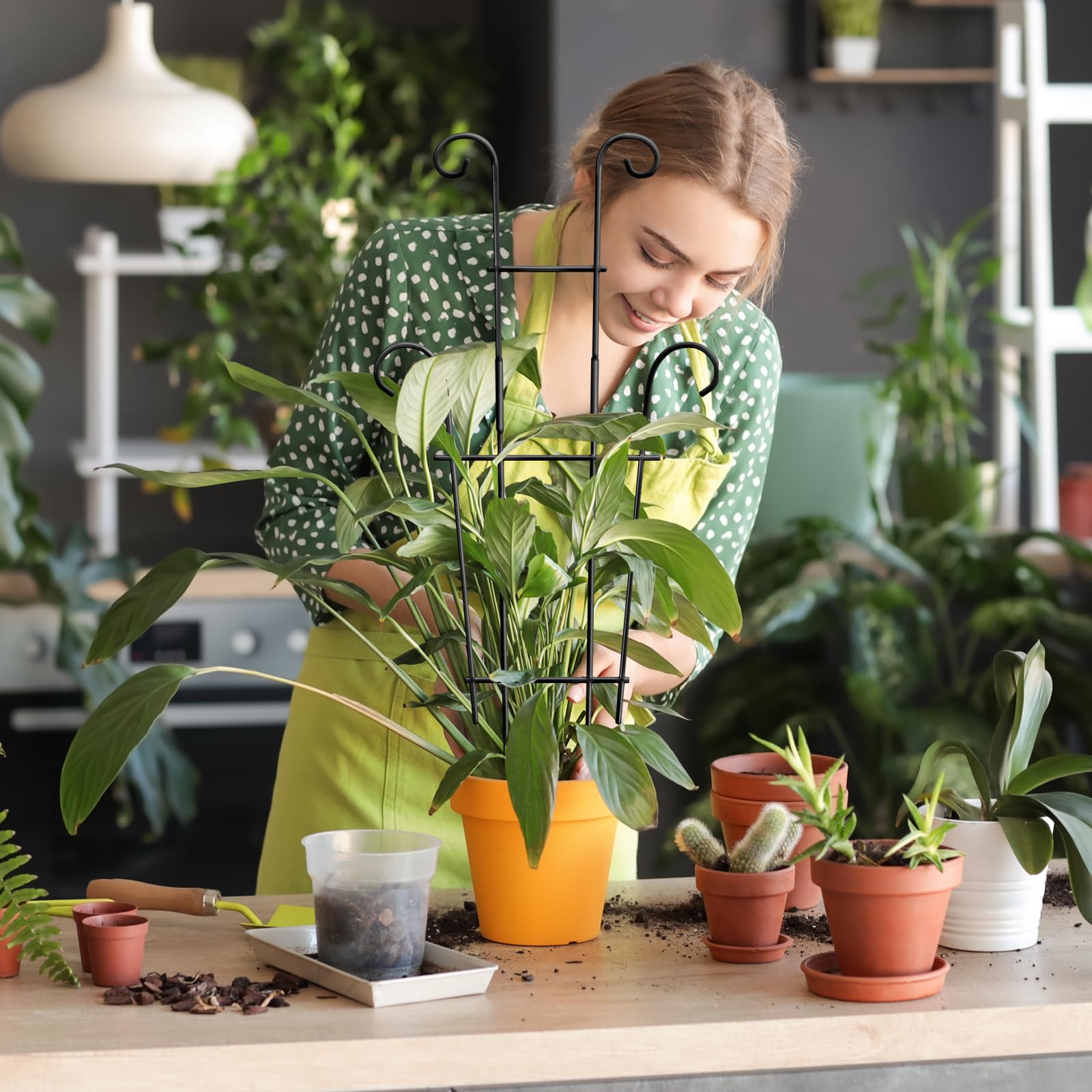 Coomin indoor-outdoor trellis enhances plant displays in homes or patios.