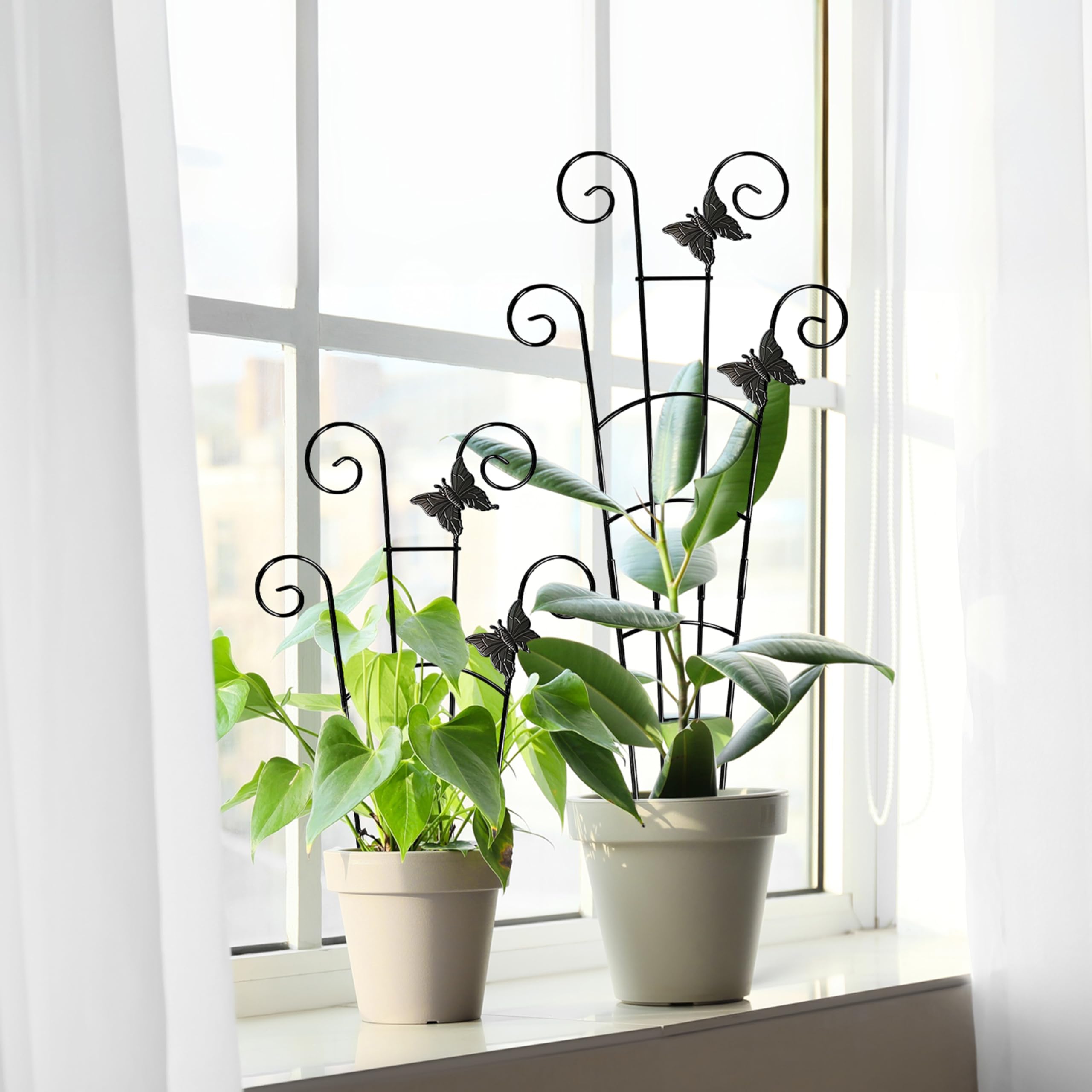 Coomin indoor outdoor plant trellis keeps pots upright and tidy.