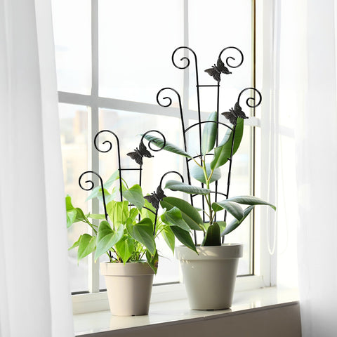 Coomin indoor outdoor plant trellis keeps pots upright and tidy.