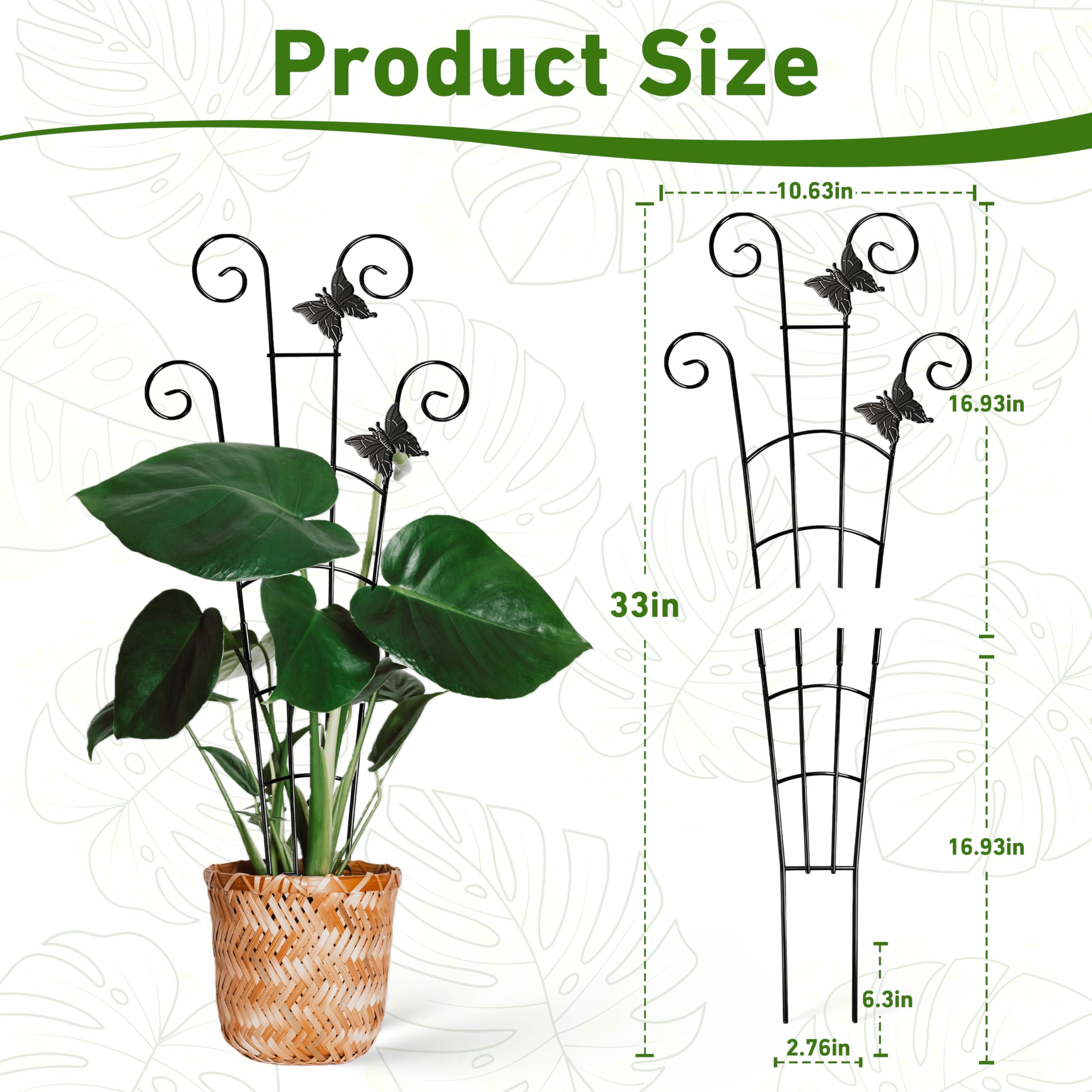 Coomin Monstera lower section forms a stable vertical base.