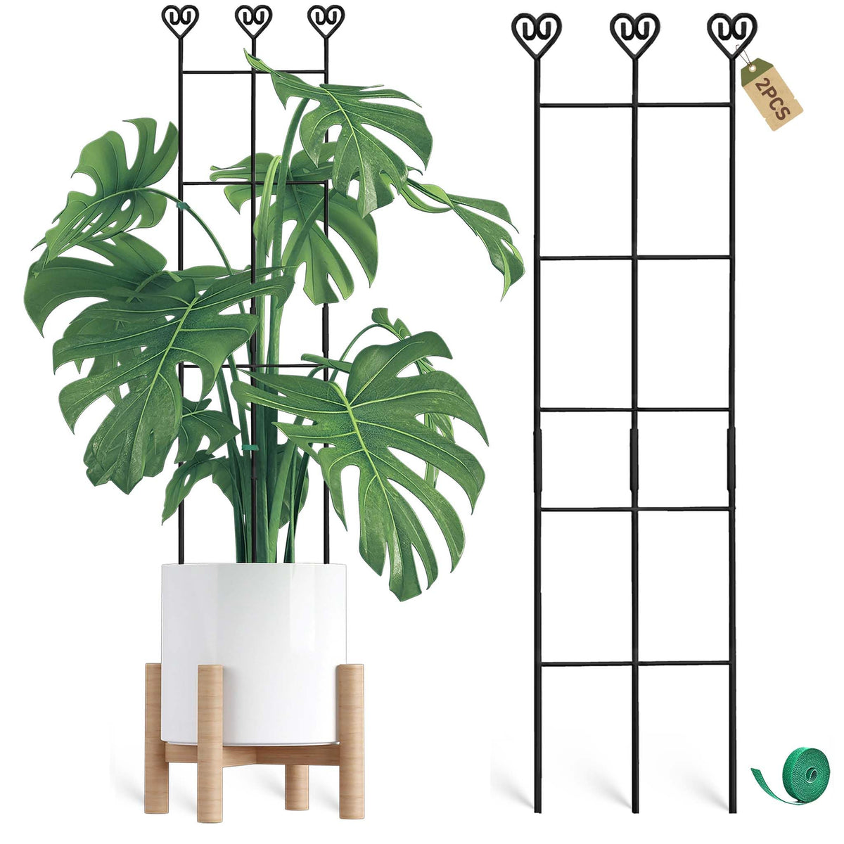 Coomin Monstera stake 32in sturdy vertical support for climbing vines.