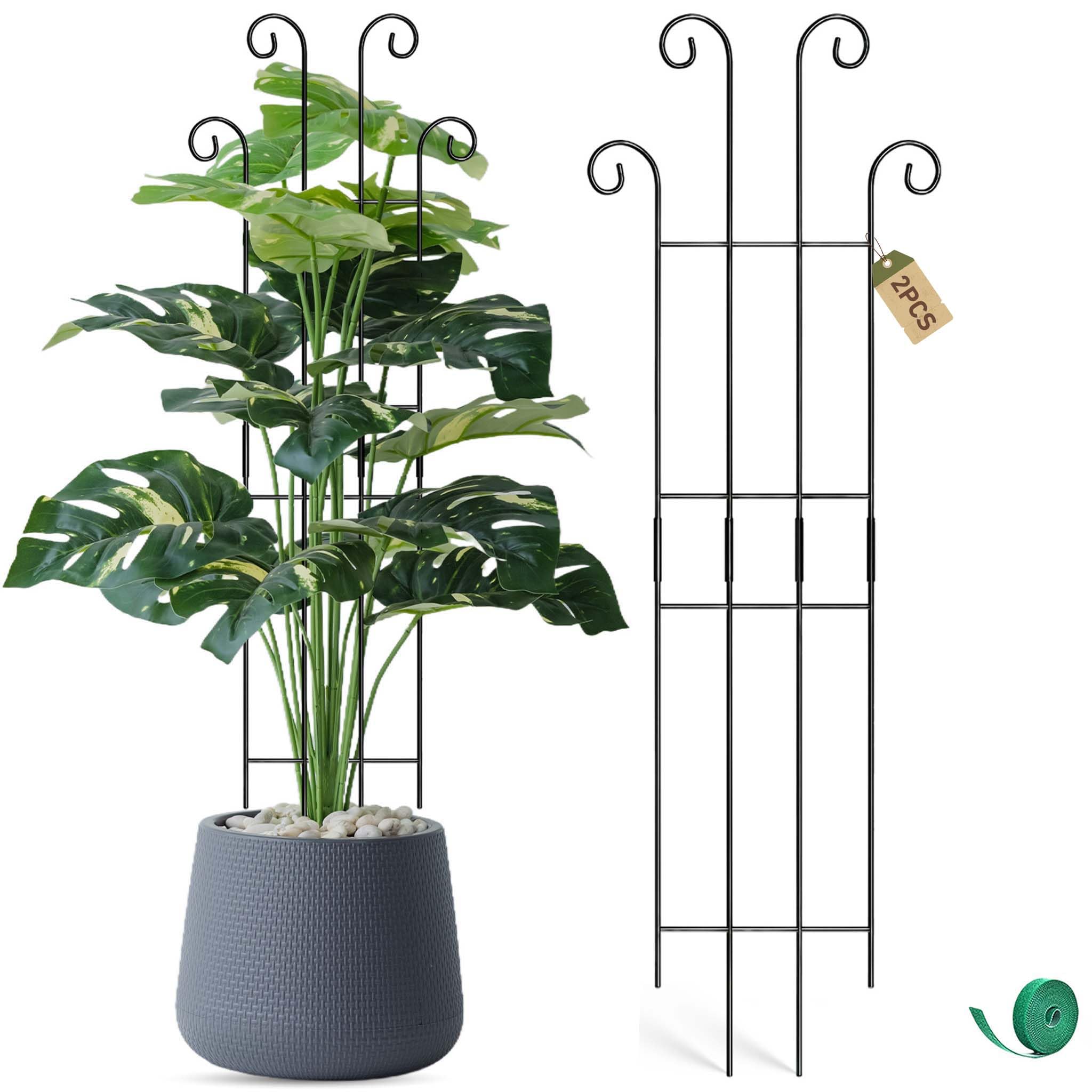 Coomin Monstera stake assembly showing sturdy metal construction for reliable support