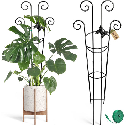 Coomin Monstera plant support assembly shows quick setup for indoor climbers.