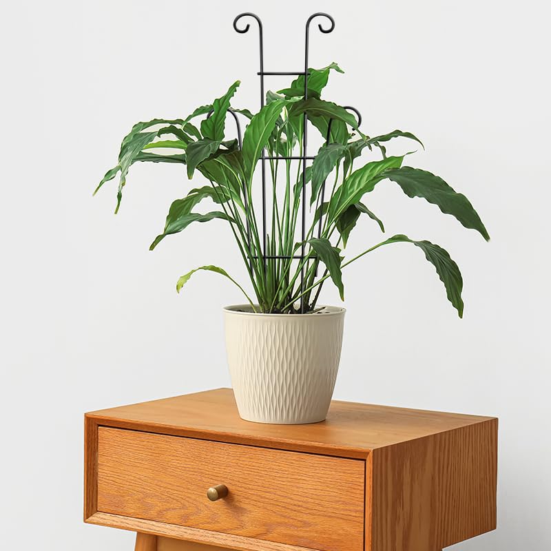 Coomin packaging includes two trellises for versatile plant setups.