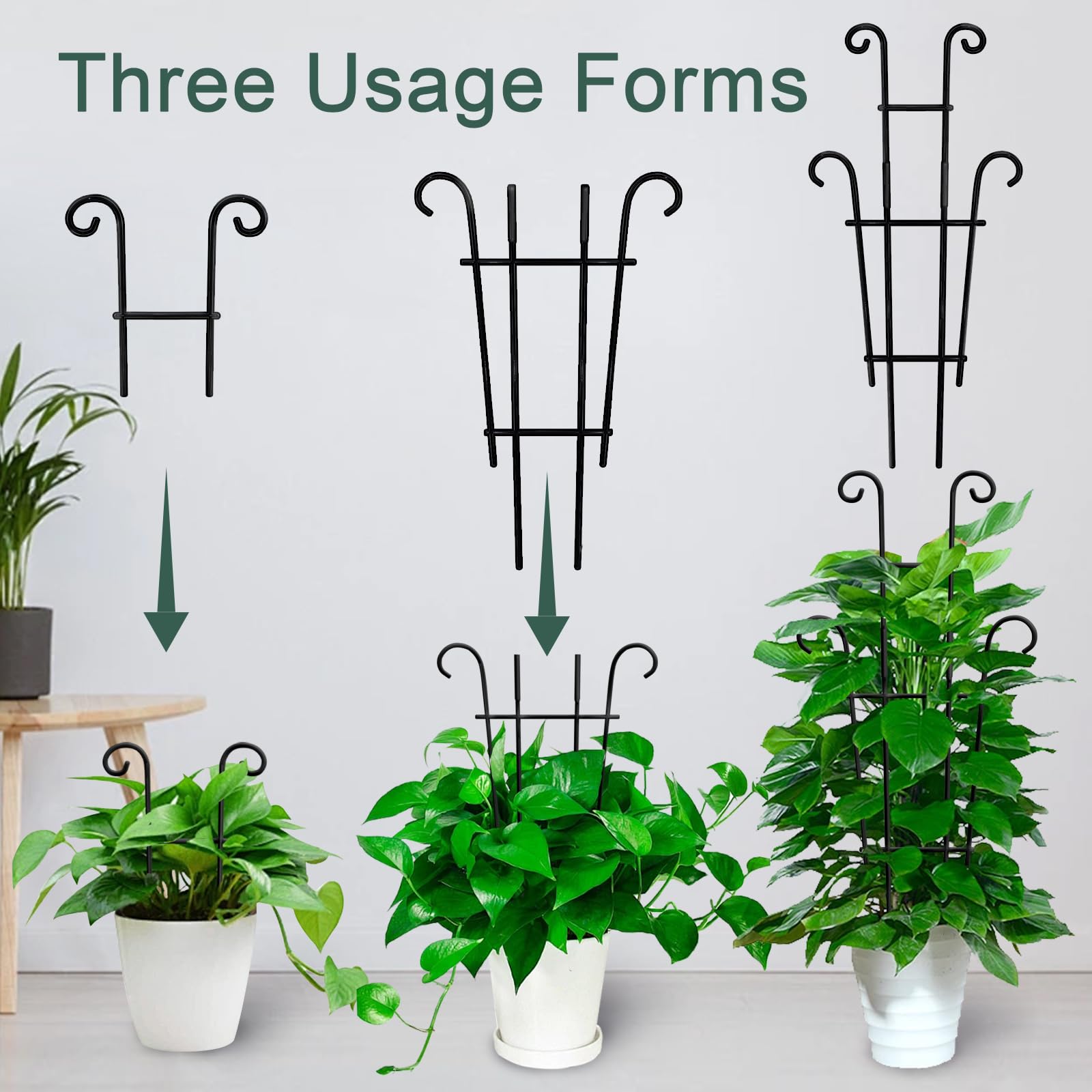 Coomin plant ties secure vines to the trellis for neat growth.
