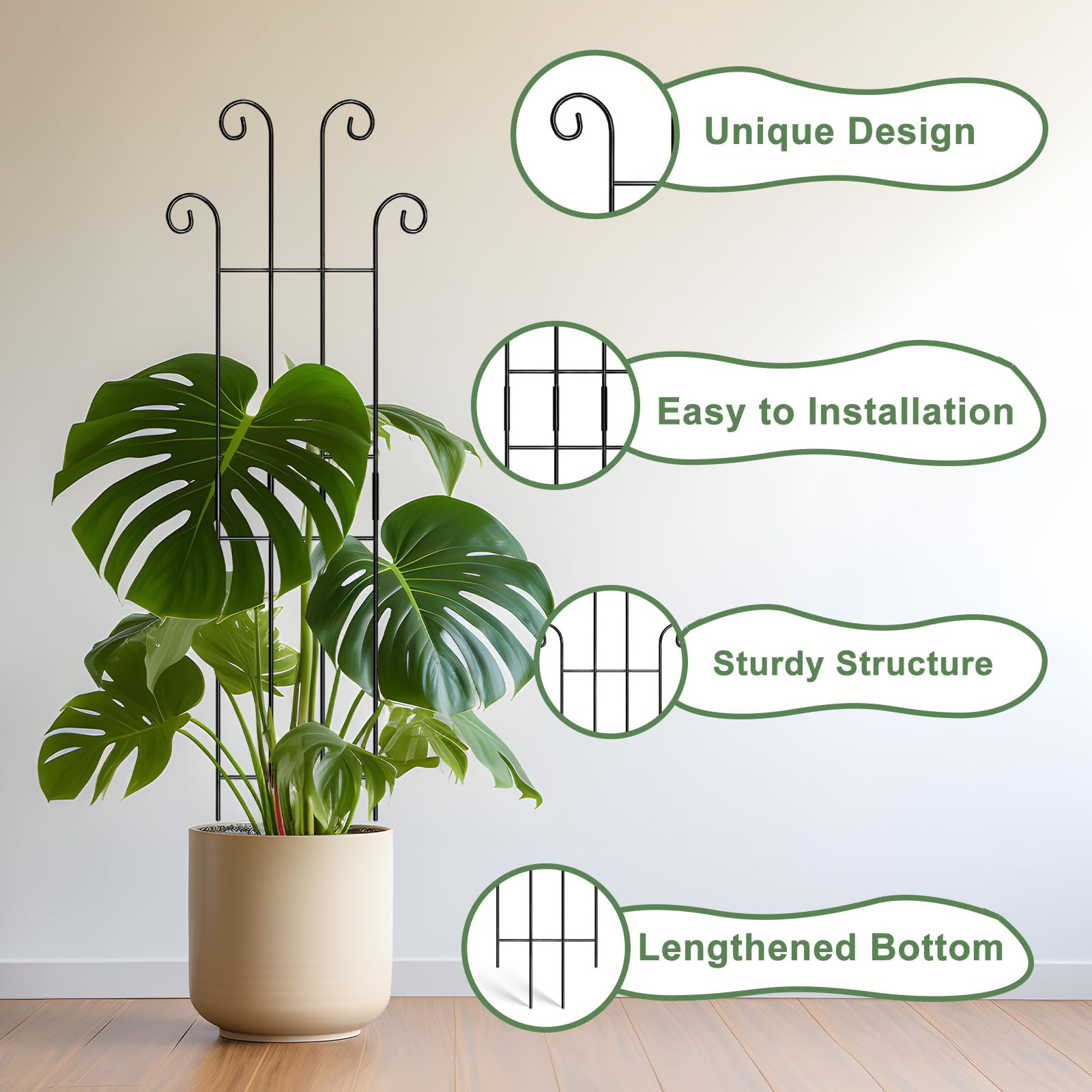 Coomin pothos climber support securing vines without damage