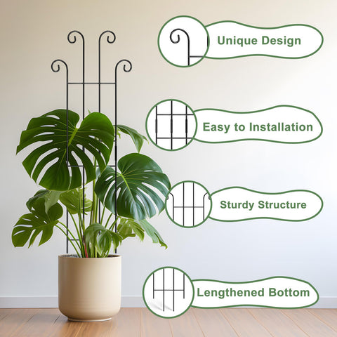 Coomin pothos climber support securing vines without damage