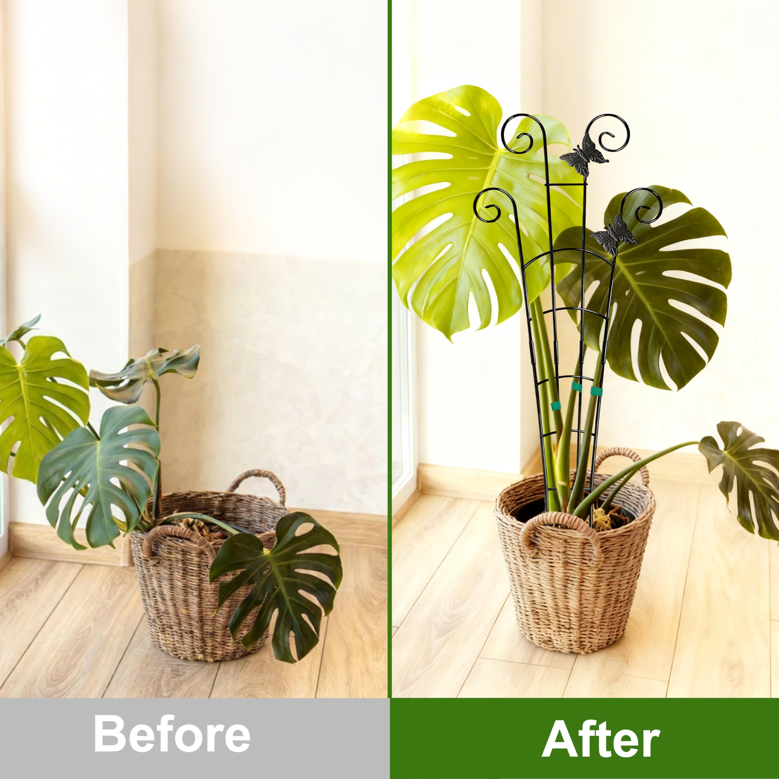 Coomin soft ties protect stems while guiding growth.